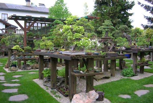 0515200603Bonsaigarten.jpg