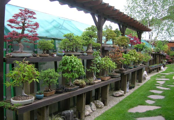 0515200602Bonsaigarten.jpg