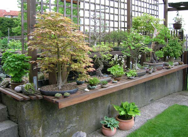 0515200601Bonsaigarten.jpg