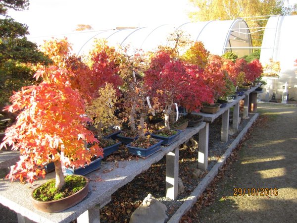 Herbst