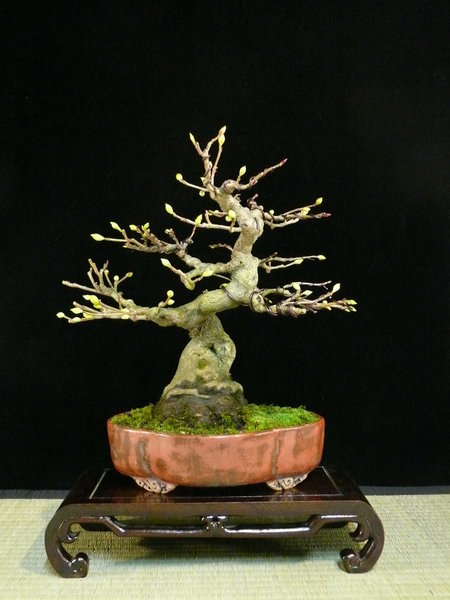 P1170727k.JPG