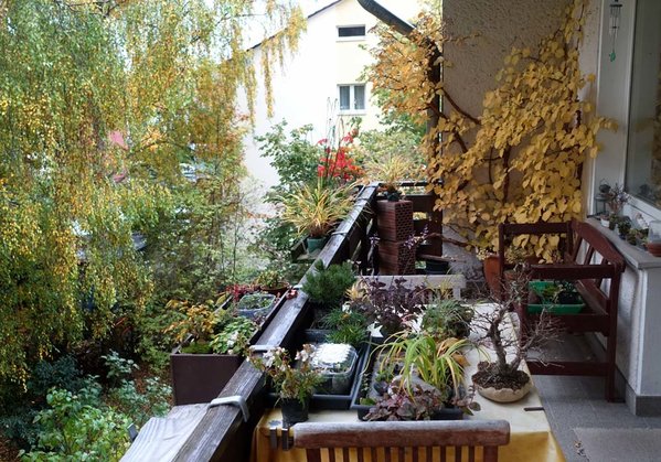 Herbst auf dem Balkon