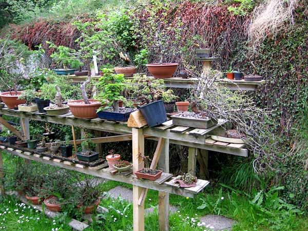 garten5.jpg