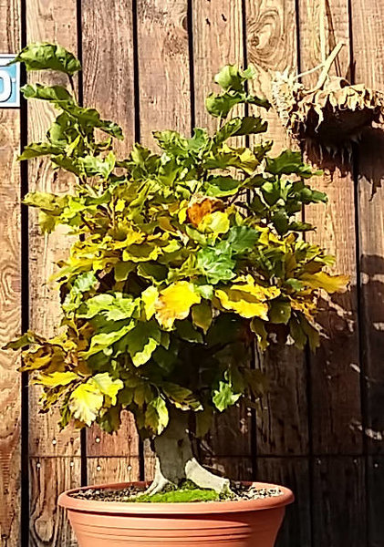 Im Herbst 2016