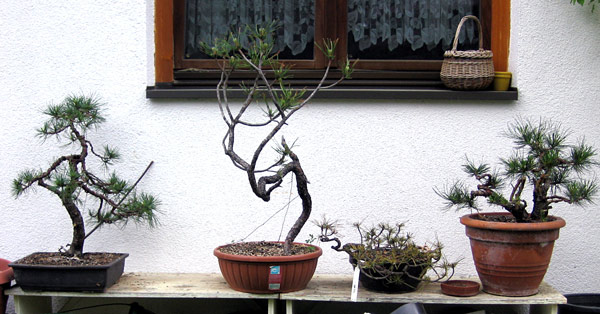 garten2.jpg