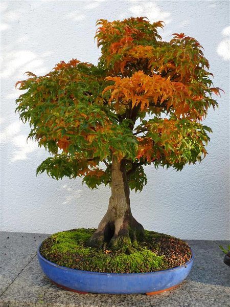 Herbst-16-(12).jpg