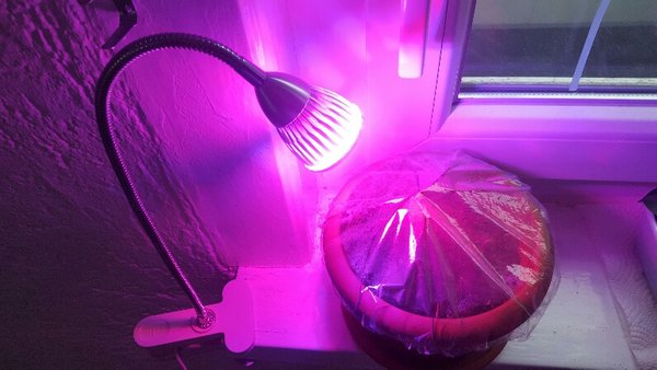 20161116_110353-796x448.jpg
