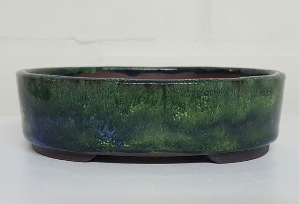 Shohin oval. 15 x 12,5 x 4,2cm