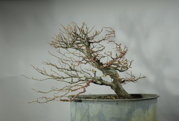 Nach Workshop mit Alfredo Salaccione
