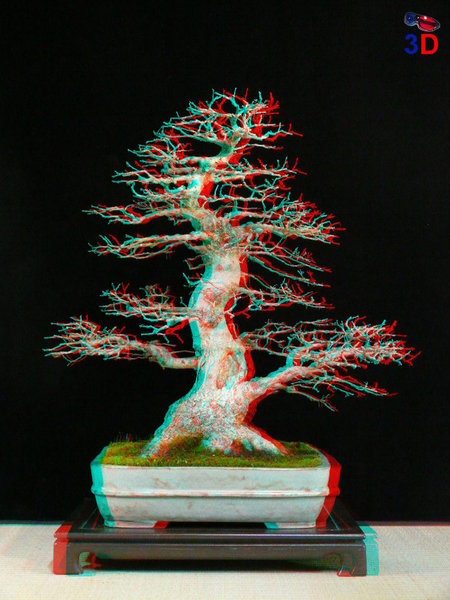 P1170962-3D_k.JPG