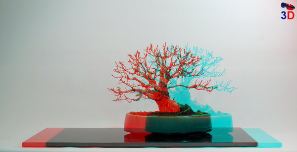 Weigelie in 3D