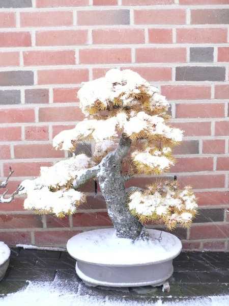 November 2016. Der erste Schnee ist dieses Jahr früh gekommen. Und reichlich.