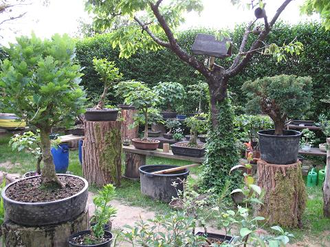 Yamadori Garten von einer anderen Ansicht.