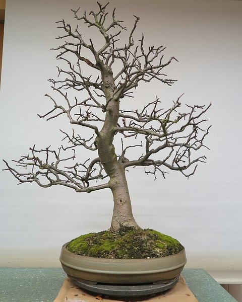 comp_IMG_2987.jpg