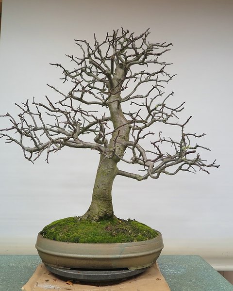 comp_IMG_2985.jpg