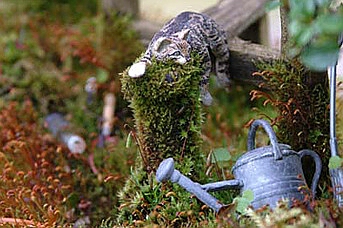danbartonbonsaipots.wordpress.com/bonsai/