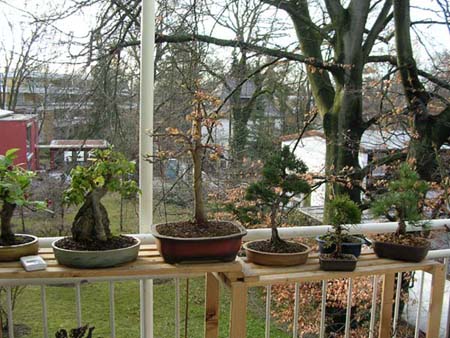 balkon4.jpg