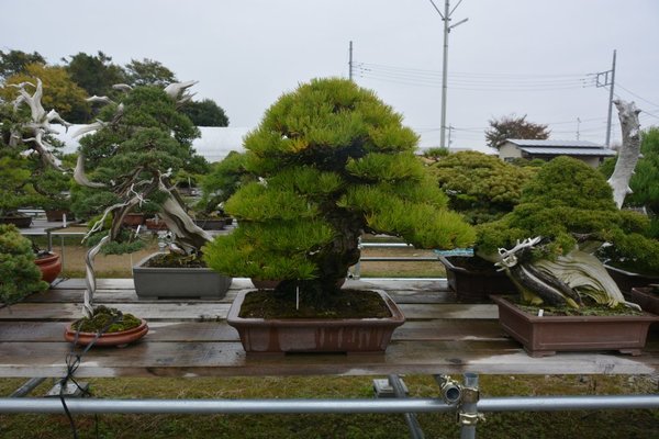 DSC_6093.JPG