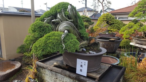20161115_100831.jpg