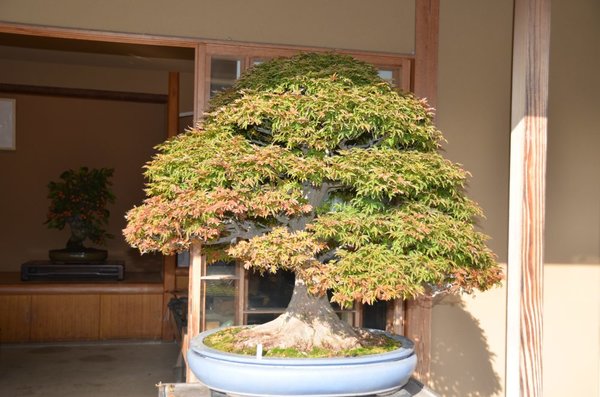 DSC_6093.JPG