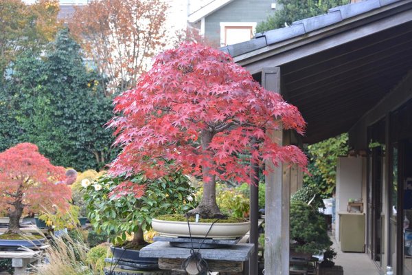 DSC_6319.JPG