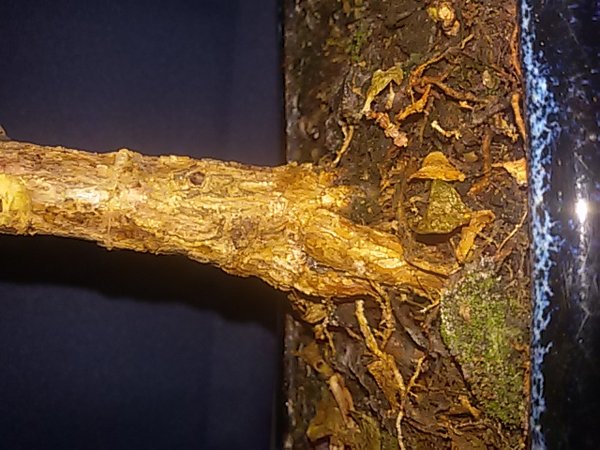 20161217_180111.jpg