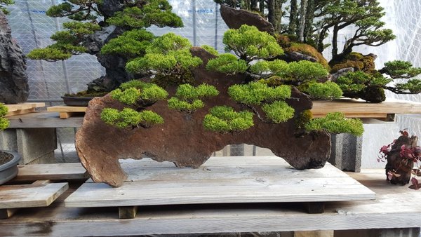 20161116_102034.jpg