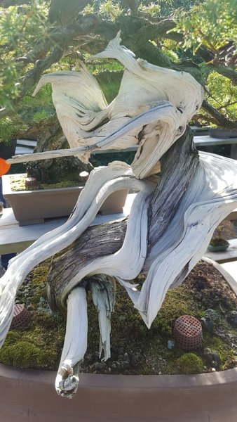 20161116_101044.jpg