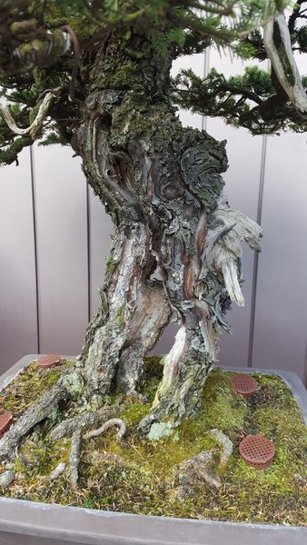 20161116_104849.jpg