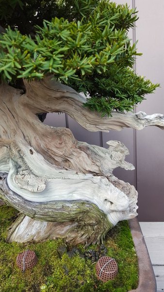 20161116_104918.jpg