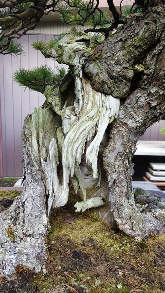 20161116_105102.jpg