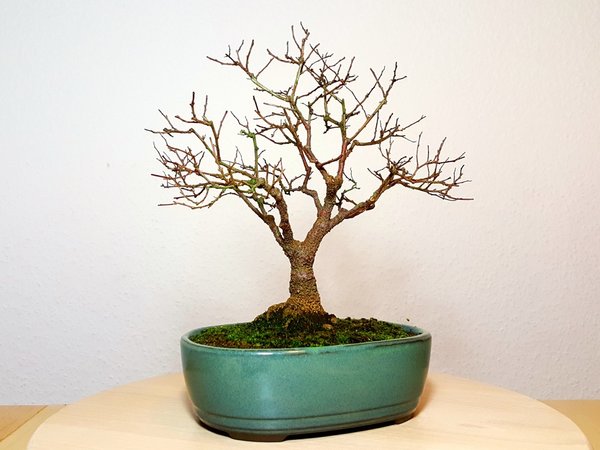 20161222_101058.jpg