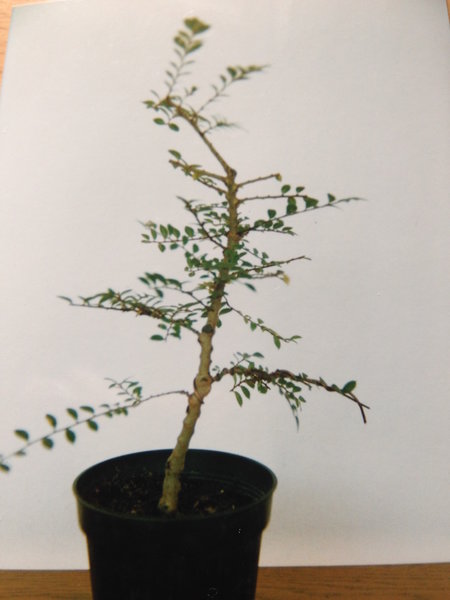 Oktober 1991