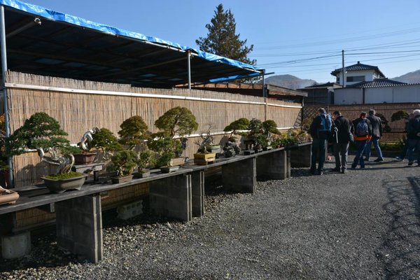 DSC_6643.JPG