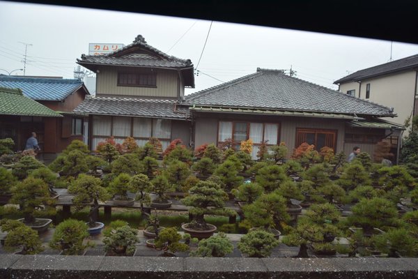 DSC_7118.JPG
