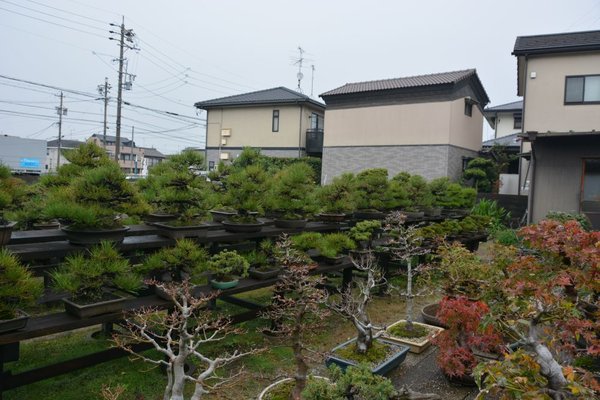 DSC_7119.JPG