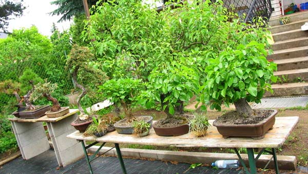 priv.garten-014.jpg