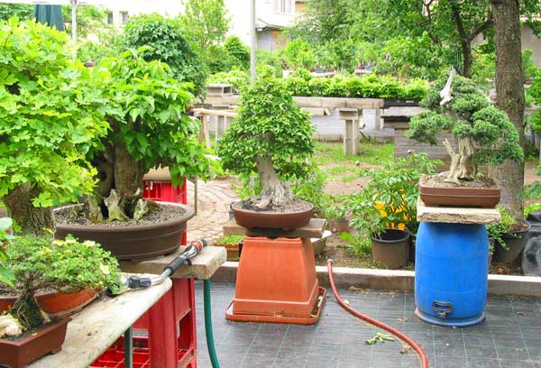 priv.garten-004.jpg