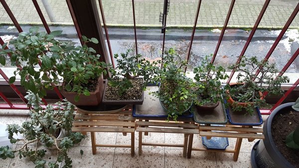 20170103_114429.jpg