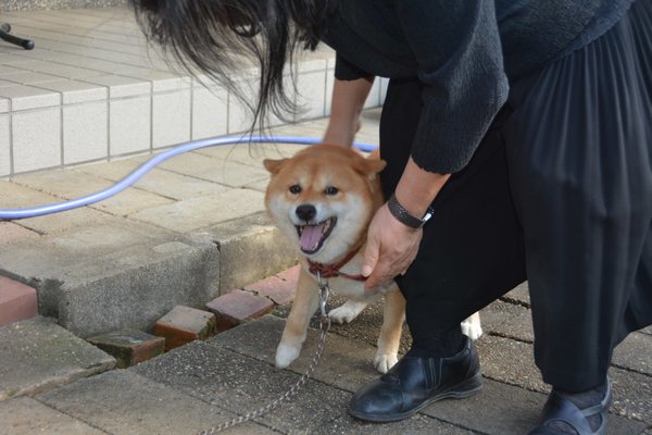 DSC_7871.JPG