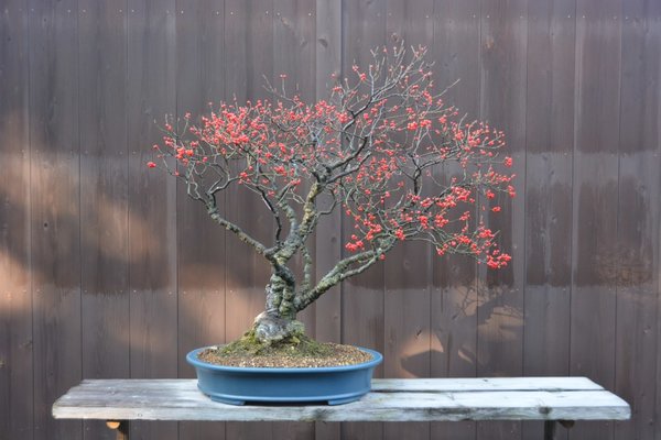 DSC_6870.JPG