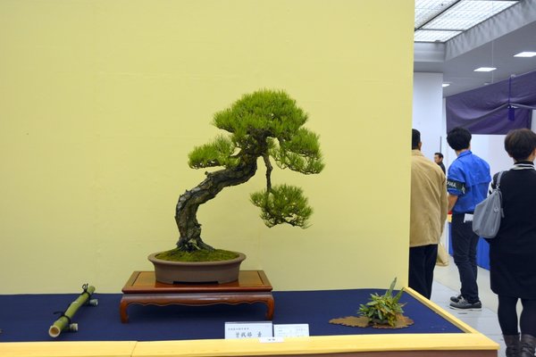 DSC_7182.JPG