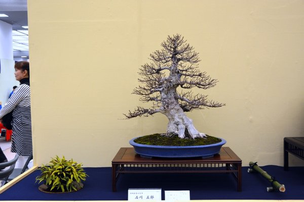 DSC_7193.JPG