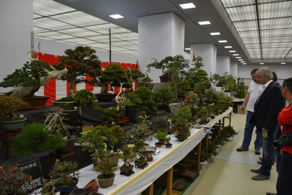DSC_7215.JPG