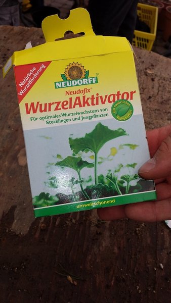 April 2016 - Bewurzellungshilfe.....lieber zu viel als zu wenig......