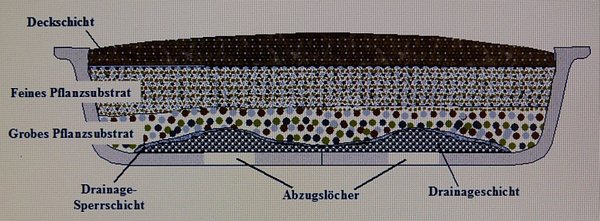 Schale PC-Foto2.jpg