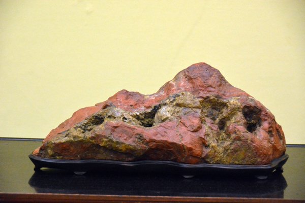 DSC_7404.JPG
