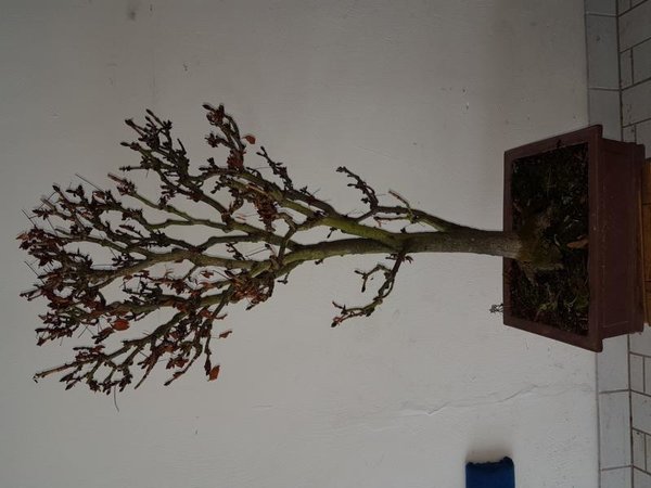 20170110_111925.JPG