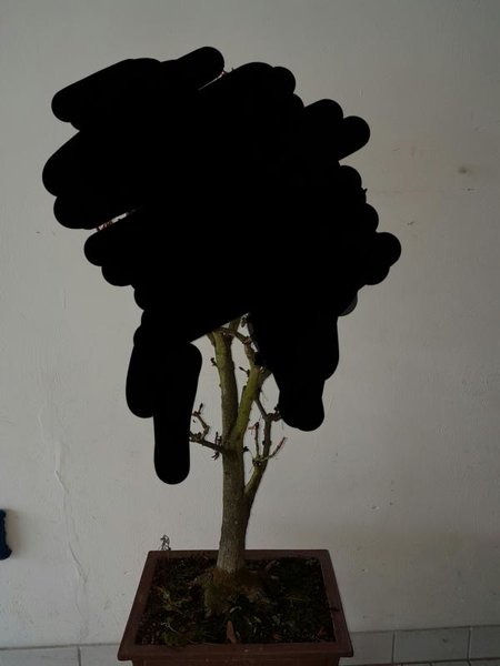 20170118_195258.JPG