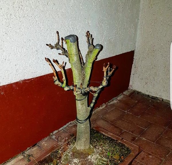 20170120_193916.JPG